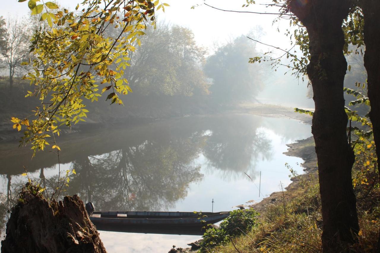 Murmures De Loire Montjean-sur-Loire 외부 사진